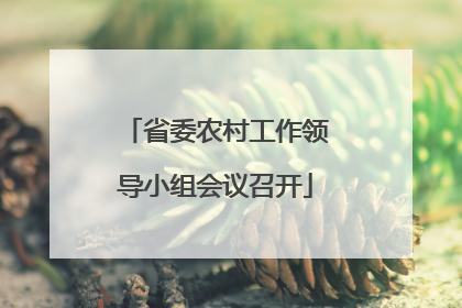 省委农村工作领导小组会议召开