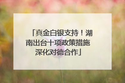 真金白银支持！湖南出台十项政策措施深化对德合作
