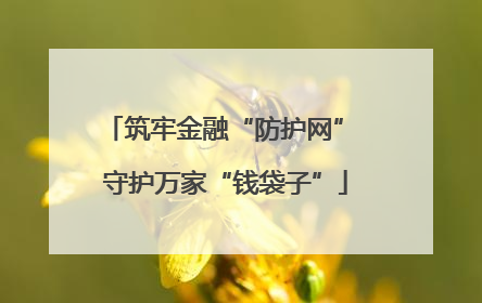 筑牢金融“防护网” 守护万家“钱袋子”