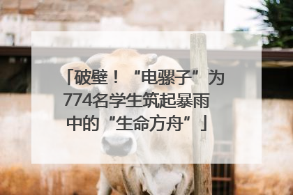 破壁！“电骡子”为774名学生筑起暴雨中的“生命方舟”