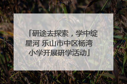 研途去探索，学中绽星河 乐山市中区杨湾小学开展研学活动