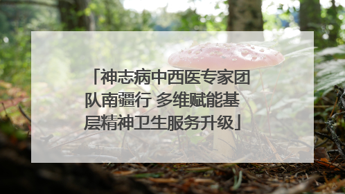 神志病中西医专家团队南疆行 多维赋能基层精神卫生服务升级