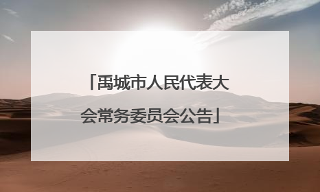 禹城市人民代表大会常务委员会公告