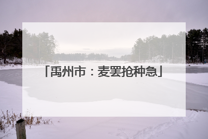 禹州市：麦罢抢种急