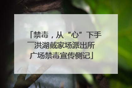 禁毒，从“心”下手――洪湖戴家场派出所广场禁毒宣传侧记