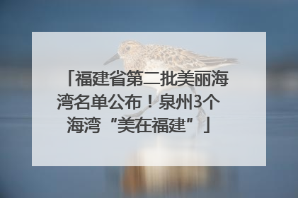 福建省第二批美丽海湾名单公布！泉州3个海湾“美在福建”