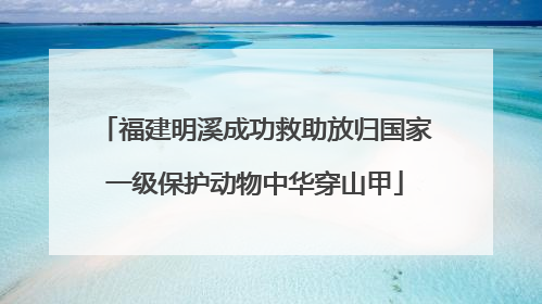 福建明溪成功救助放归国家一级保护动物中华穿山甲