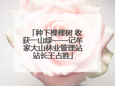 种下棵棵树 收获一山绿——记牟家大山林业管理站站长王占胜