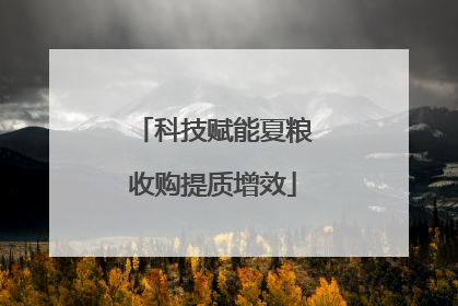 科技赋能夏粮收购提质增效