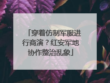 穿着仿制军服进行商演？红安军地协作整治乱象