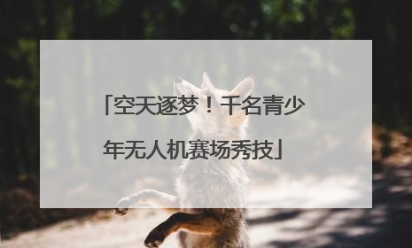 空天逐梦！千名青少年无人机赛场秀技