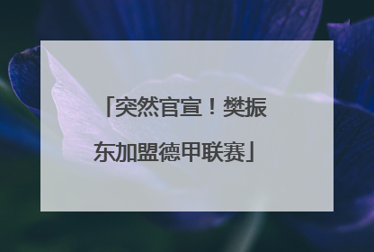 突然官宣！樊振东加盟德甲联赛