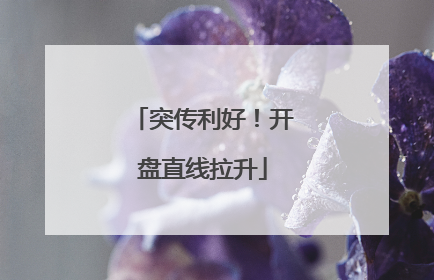 突传利好！开盘直线拉升