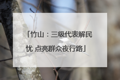 竹山：三级代表解民忧 点亮群众夜行路