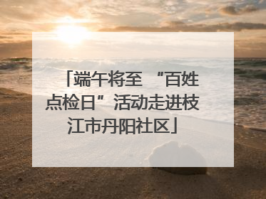 端午将至 “百姓点检日”活动走进枝江市丹阳社区