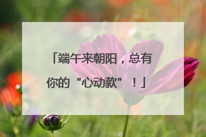 端午来朝阳，总有你的“心动款”！