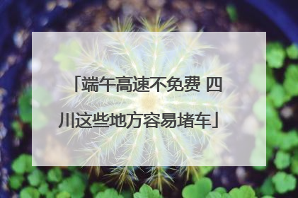 端午高速不免费 四川这些地方容易堵车