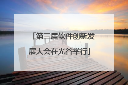 第三届软件创新发展大会在光谷举行