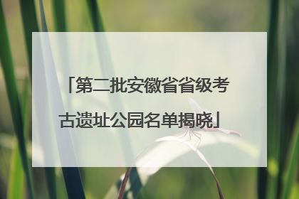 第二批安徽省省级考古遗址公园名单揭晓