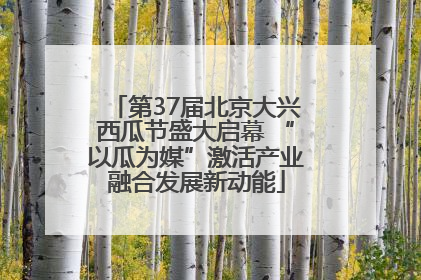 第37届北京大兴西瓜节盛大启幕 “以瓜为媒”激活产业融合发展新动能
