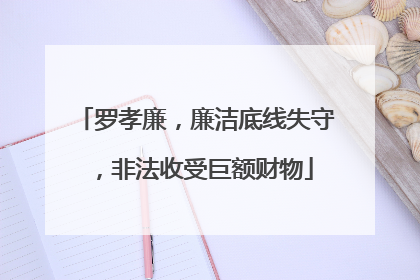 罗孝廉，廉洁底线失守，非法收受巨额财物