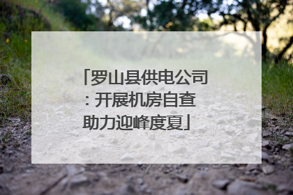罗山县供电公司：开展机房自查 助力迎峰度夏