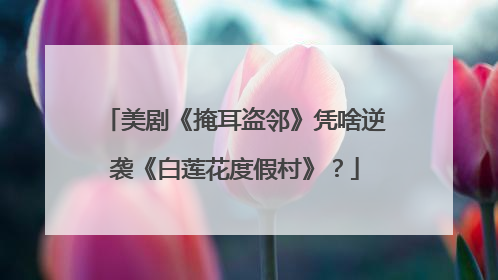 美剧《掩耳盗邻》凭啥逆袭《白莲花度假村》？