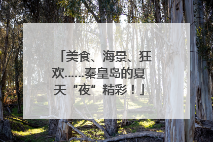 美食、海景、狂欢……秦皇岛的夏天“夜”精彩！