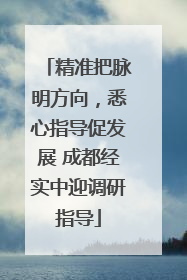 精准把脉明方向，悉心指导促发展 成都经实中迎调研指导