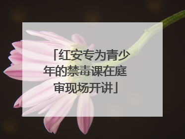 红安专为青少年的禁毒课在庭审现场开讲