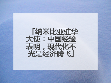 纳米比亚驻华大使：中国经验表明，现代化不光是经济腾飞