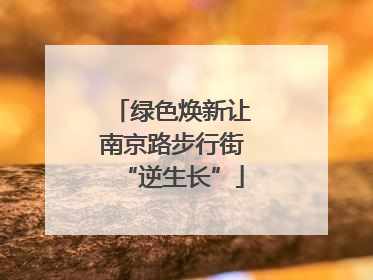 绿色焕新让南京路步行街“逆生长”
