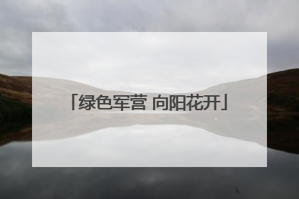 绿色军营 向阳花开
