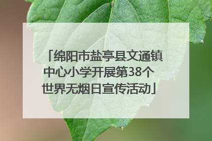 绵阳市盐亭县文通镇中心小学开展第38个世界无烟日宣传活动
