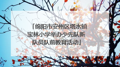 绵阳市安州区塔水镇宝林小学举办少先队新队员队前教育活动