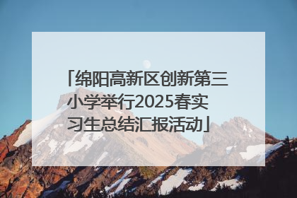 绵阳高新区创新第三小学举行2025春实习生总结汇报活动