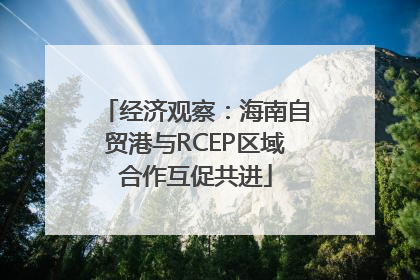 经济观察：海南自贸港与RCEP区域合作互促共进