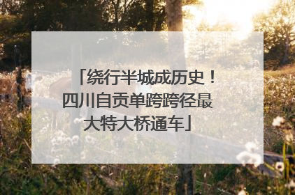 绕行半城成历史！四川自贡单跨跨径最大特大桥通车