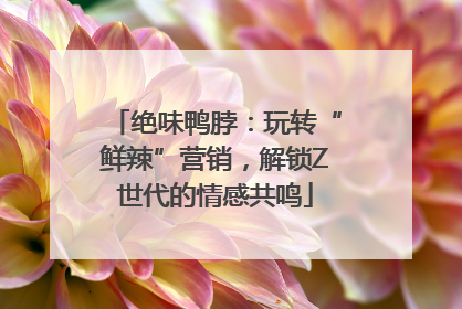 绝味鸭脖：玩转“鲜辣”营销，解锁Z世代的情感共鸣