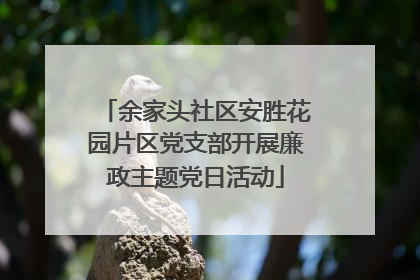 余家头社区安胜花园片区党支部开展廉政主题党日活动