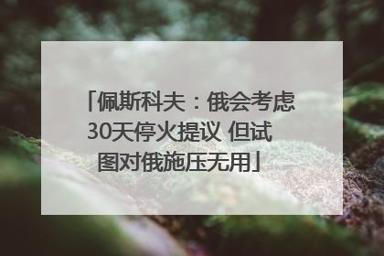 佩斯科夫：俄会考虑30天停火提议 但试图对俄施压无用