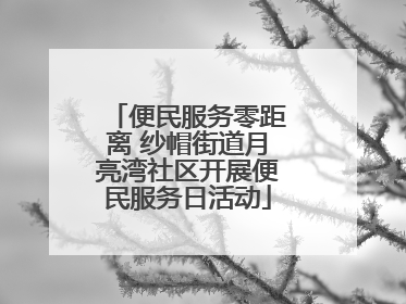 便民服务零距离 纱帽街道月亮湾社区开展便民服务日活动