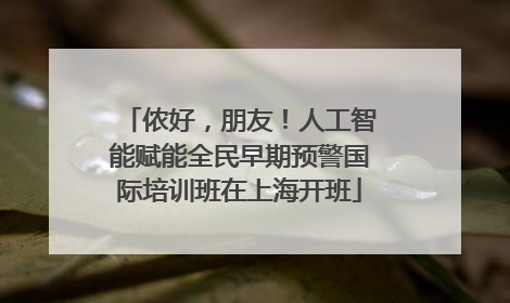侬好，朋友！人工智能赋能全民早期预警国际培训班在上海开班