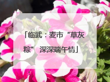 临武：麦市“草灰粽” 深深端午情