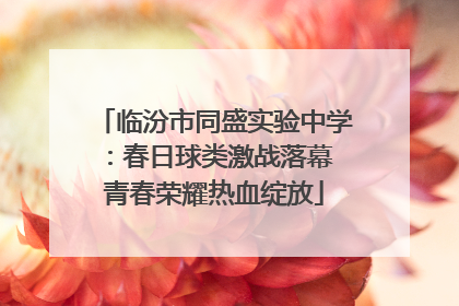 临汾市同盛实验中学：春日球类激战落幕 青春荣耀热血绽放