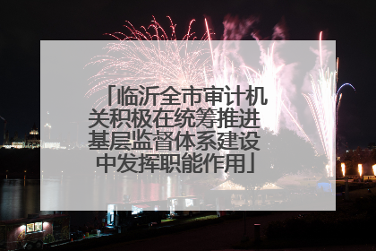 临沂全市审计机关积极在统筹推进基层监督体系建设中发挥职能作用