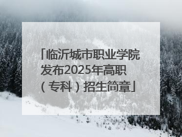 临沂城市职业学院发布2025年高职（专科）招生简章