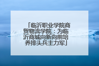 临沂职业学院商贸物流学院：为临沂商城向新向前培养排头兵主力军