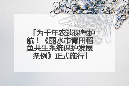 为千年农遗保驾护航！《丽水市青田稻鱼共生系统保护发展条例》正式施行