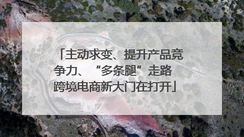 主动求变、提升产品竞争力、“多条腿”走路 跨境电商新大门在打开